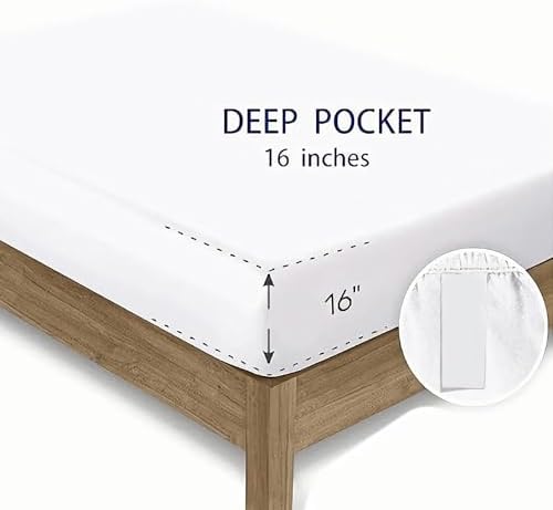 Kawaii Axolotl Ocean Animal Sheet Set 4Pcs