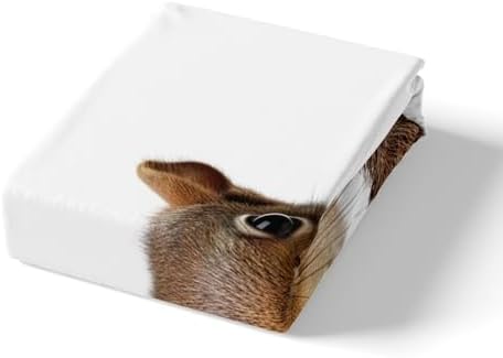 Erosebridal Squirrel Duvet Cover Set for Kids Boys Teens