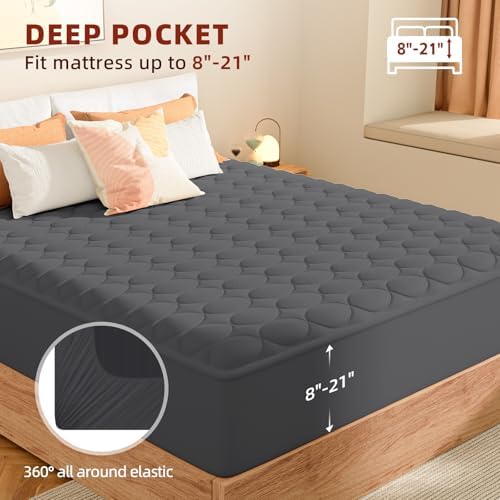MASVIS Queen Heated Mattress Pad with Dual Control