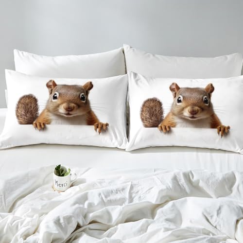 Erosebridal Squirrel Duvet Cover Set for Kids Boys Teens