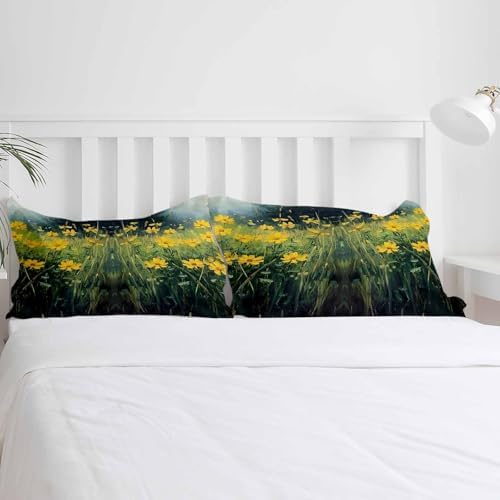 Boanket 3-Piece Twin Duvet Cover Set with Zipper Pillowcases