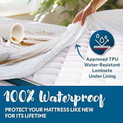 Guardmax Terry Cotton Queen Mattress Protector - Waterproof Dust Mite Proof