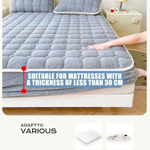 LDLCYCN Warm Queen King Full Mattress Cover with Elastic Band and Pillowcase